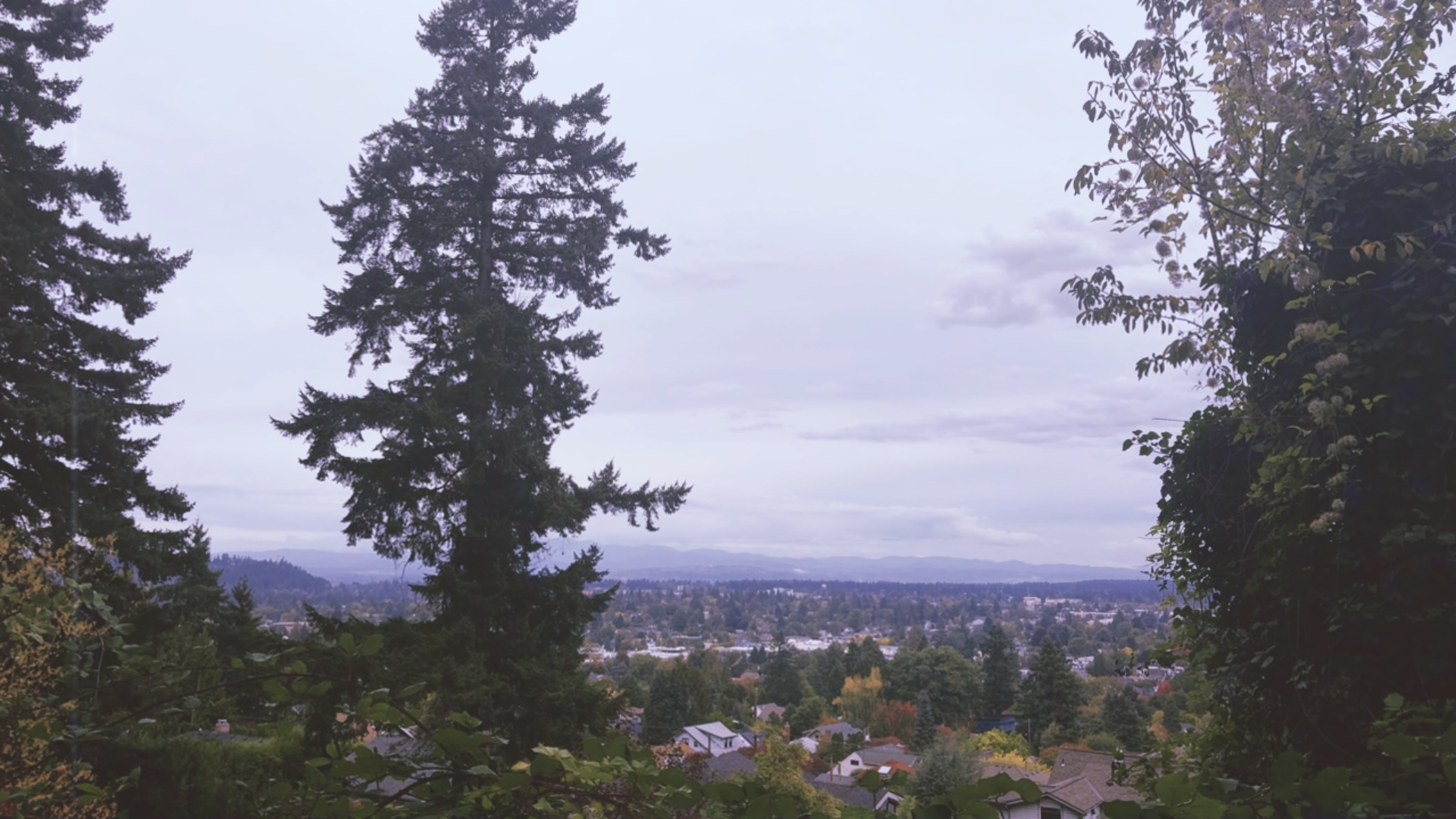Portland skyline from Mount Tabor summit